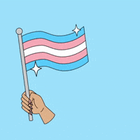 GIF de bandeira trans por Trap Bob