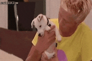 dogs biting GIF