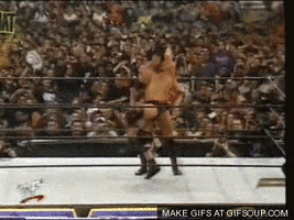 stone cold GIF stone cold GIF