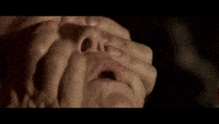 See Bird Box GIF