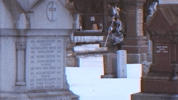 viceland GIF by FUBAR AGE OF COMPUTER