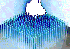 fire GIF by A.M.T.G. G.G.