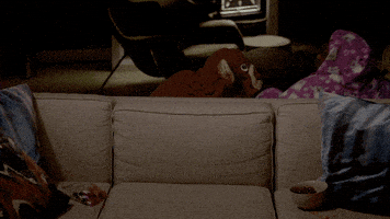 fox tv lyon GIF by Empire FOX