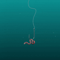 Catch Me If You Can Swimming GIF by KLIKKLAKBAM