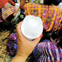 perhapsyouneedalittleguatemala GIF by G1ft3d