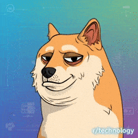 Judging Shiba Inu GIF by Doge Pound