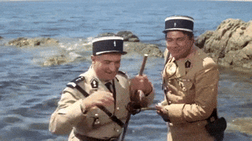 louis de funes GIF by vrt