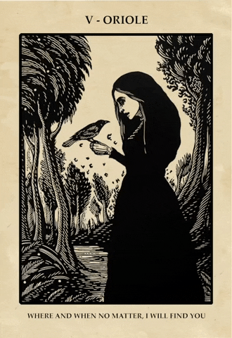 woman bird GIF by The Afghan Whigs woman, bird, tarot, oracle, divination, oriole, afghan whigs, in spades