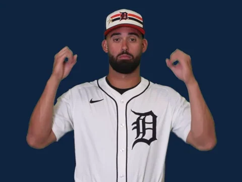 Detroit Tigers Wow GIF by MLB