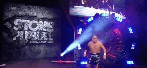 Chris Jericho Wrestling GIF by AEWonTV