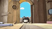 Angry Cat GIF by HangryPetz