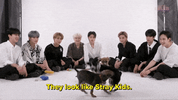 K-Pop Stray Kids GIF by BuzzFeed