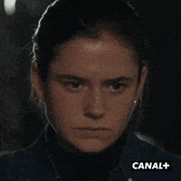 Tv Show Television GIF by CANAL+