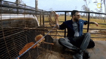 Zachary Quinto Panama GIF by National Geographic Channel