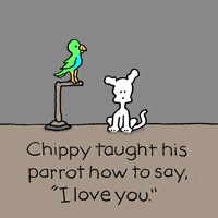 I Love You Dogs GIF by Chippy the Dog
