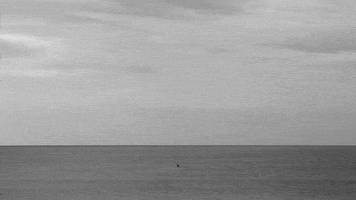 black and white loop GIF by A. L. Crego