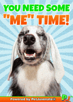 Love Yourself Relax GIF by PetJuvenate - PJ