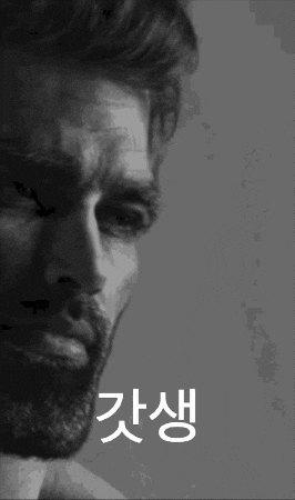 Korea Wow GIF by Gigachad