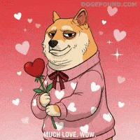 I Love You Wow GIF by Doge Pound