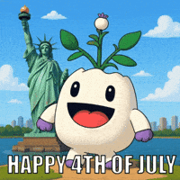 Independence Day Fireworks GIF by Magic Eden