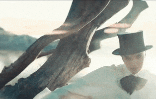 Afterlife Dickinson GIF by Hailee Steinfeld