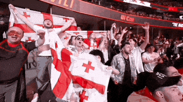 Mixed Martial Arts Sport GIF by UFC