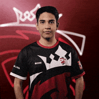 Reaction Happy GIF by Austrian Force eSports