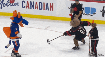 Ice Hockey Sport GIF by NHL