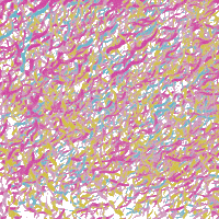 Happy Birthday Party GIF