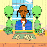 Hip Hop Lol GIF by gifnews