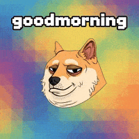 Shiba Inu Lol GIF by Doge Pound