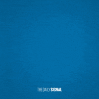 Breaking News GIF by The Daily Signal