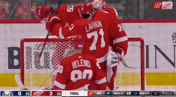 Ice Hockey Love GIF by NHL