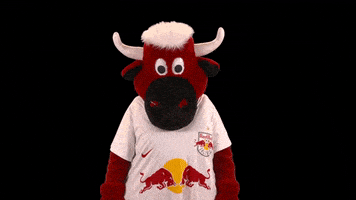 Red Bull Wave GIF by FC Red Bull Salzburg