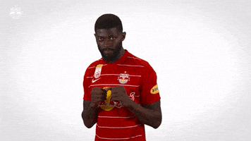 Red Bull Knockout GIF by FC Red Bull Salzburg