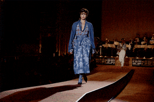 kendall jenner fashion GIF by Clint Spaulding