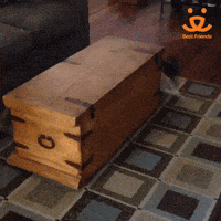 Best Friends GIF by Best Friends Animal Society