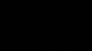 text GIF by leeamerica