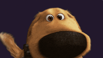 dog day GIF by Disney Pixar
