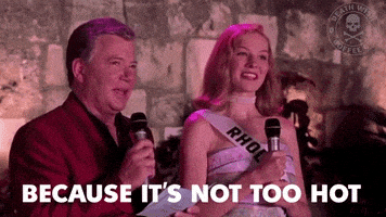 Sandra Bullock Reaction Gif GIF by Death Wish Coffee