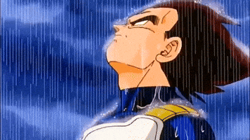 Rain GIF Rain GIF