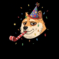 Shiba Inu Wow GIF by Doge Pound