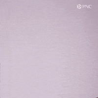 Chicago Bears GIF by PNC Bank