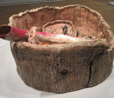 alex boya animation studio GIF by Alex Boya