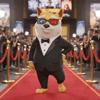 Posing Red Carpet GIF by Doge Pound