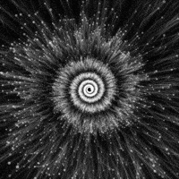 Black And White Art GIF by xponentialdesign