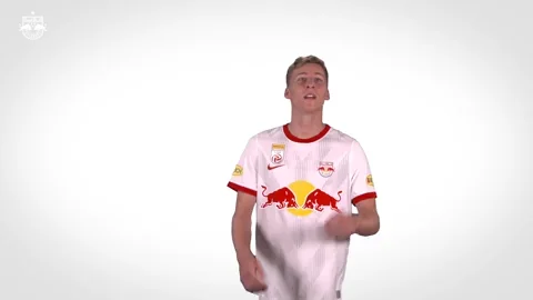 Red Bull Sport GIF