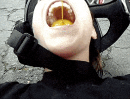 afv GIF by America's Funniest Home Videos