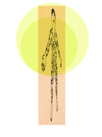 dash shaw animation GIF by weinventyou