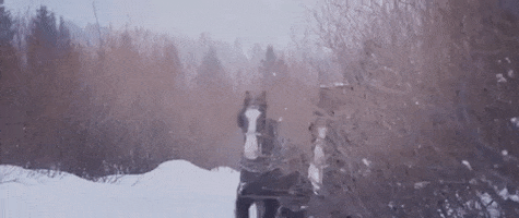 200.gif